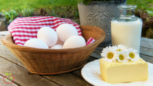 Mlijeko i mliječni proizvodi 